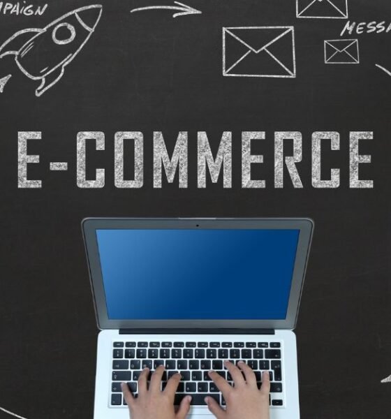 What are digital marketing and e-commerce?