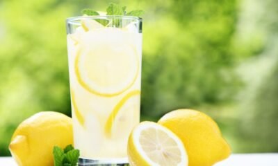 How to Start a Lemonade Business: A Refreshing Route to Entrepreneurship