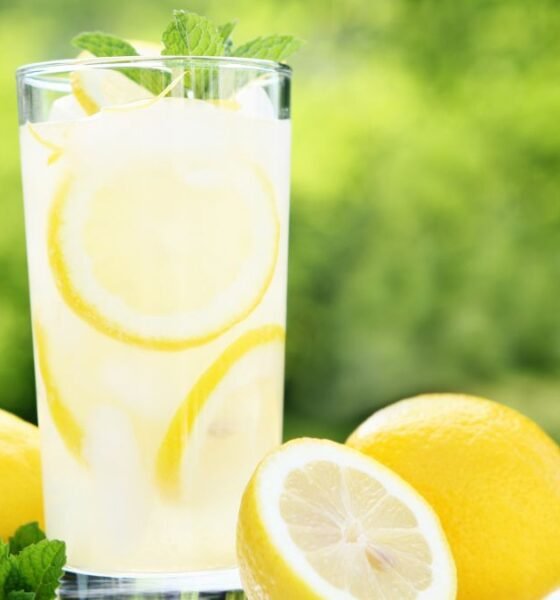 How to Start a Lemonade Business: A Refreshing Route to Entrepreneurship