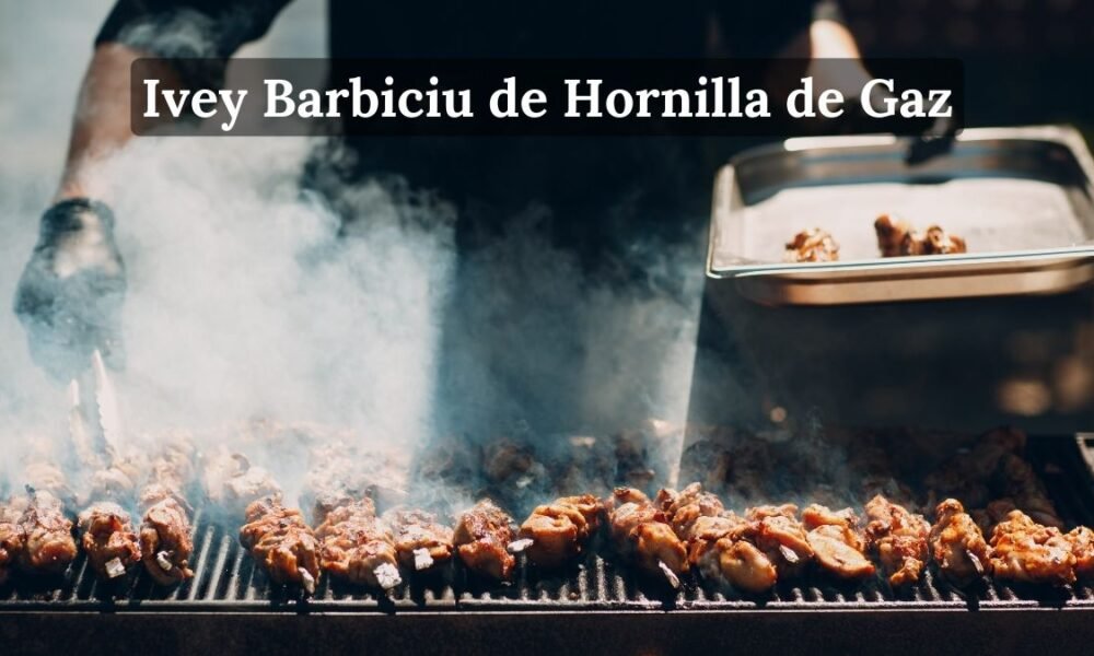 Man Grilling Barbecue. Concept used for Ivey Barbiciu de Hornilla de Gaz