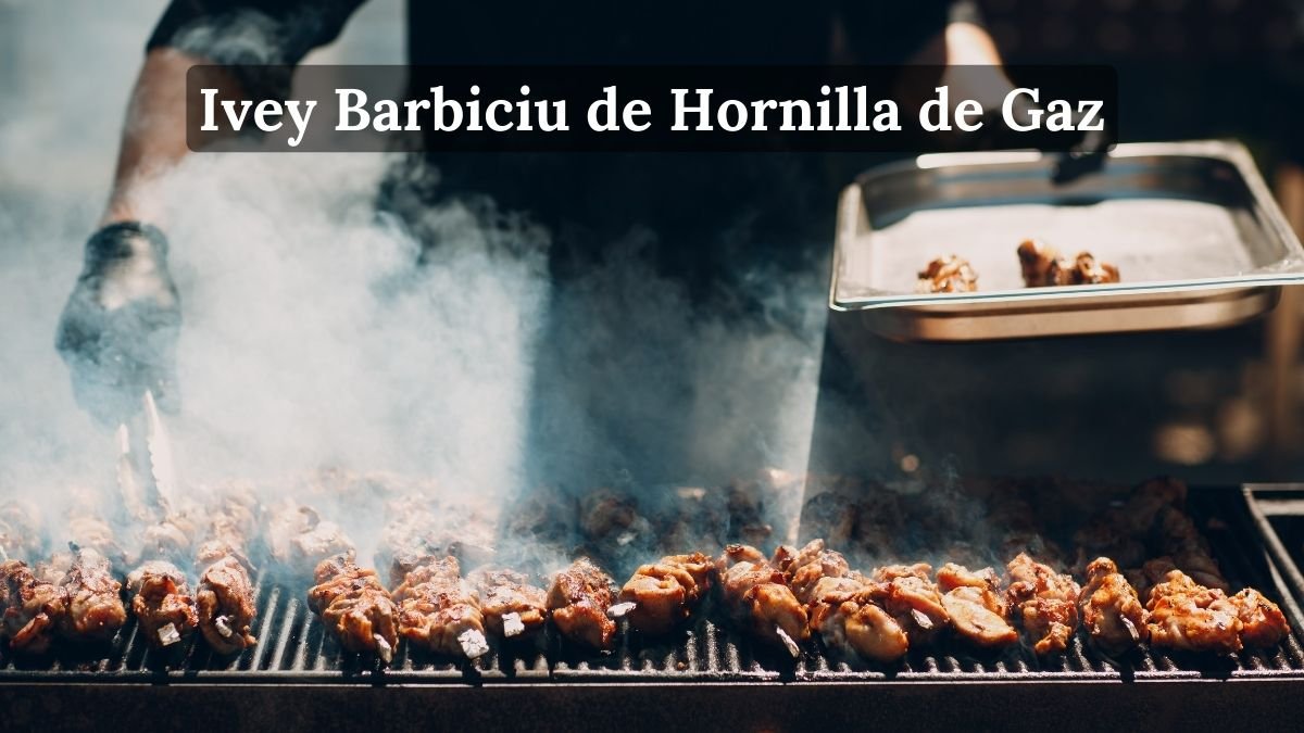 Man Grilling Barbecue. Concept used for Ivey Barbiciu de Hornilla de Gaz