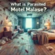 Wide-angle view of a rundown motel room with signs of neglect and poor sanitation, representing the concept of "Parasited Motel Malaise.